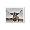 Picture of Longhorn Bull _GroupedProduct_Rectangle_Landscape_Photography _GroupedProduct_Rectangle_Landscape_Framed_Matted_