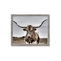Picture of Longhorn Bull _GroupedProduct_Rectangle_Landscape_Photography _GroupedProduct_Rectangle_Landscape_Framed_Matted_