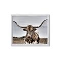 Picture of Longhorn Bull _GroupedProduct_Rectangle_Landscape_Photography _GroupedProduct_Rectangle_Landscape_Framed_Matted_