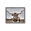 Picture of Longhorn Bull _GroupedProduct_Rectangle_Landscape_Photography _GroupedProduct_Rectangle_Landscape_Framed_Matted_
