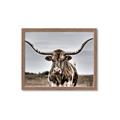 Picture of Longhorn Bull _GroupedProduct_Rectangle_Landscape_Photography _GroupedProduct_Rectangle_Landscape_Framed_Matted_