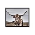 Picture of Longhorn Bull _GroupedProduct_Rectangle_Landscape_Photography _GroupedProduct_Rectangle_Landscape_Framed_Matted_
