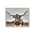 Picture of Longhorn Bull _GroupedProduct_Rectangle_Landscape_Photography _GroupedProduct_Rectangle_Landscape_Framed_Matted_