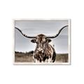 Picture of Longhorn Bull _GroupedProduct_Rectangle_Landscape_Photography _GroupedProduct_Rectangle_Landscape_Framed_Matted_