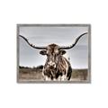 Picture of Longhorn Bull _GroupedProduct_Rectangle_Landscape_Photography _GroupedProduct_Rectangle_Landscape_Framed_Matted_