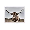Picture of Longhorn Bull _GroupedProduct_Rectangle_Landscape_Photography _GroupedProduct_Rectangle_Landscape_Framed_Matted_