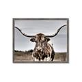 Picture of Longhorn Bull _GroupedProduct_Rectangle_Landscape_Photography _GroupedProduct_Rectangle_Landscape_Framed_Matted_