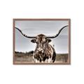 Picture of Longhorn Bull _GroupedProduct_Rectangle_Landscape_Photography _GroupedProduct_Rectangle_Landscape_Framed_Matted_