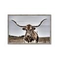 Picture of Longhorn Bull _GroupedProduct_Rectangle_Landscape_Photography _GroupedProduct_Rectangle_Landscape_Framed_Matted_