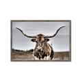 Picture of Longhorn Bull _GroupedProduct_Rectangle_Landscape_Photography _GroupedProduct_Rectangle_Landscape_Framed_Matted_