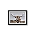 Picture of Longhorn Bull _GroupedProduct_Rectangle_Landscape_Photography _GroupedProduct_Rectangle_Landscape_Framed_Matted_