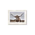 Picture of Longhorn Bull _GroupedProduct_Rectangle_Landscape_Photography _GroupedProduct_Rectangle_Landscape_Framed_Matted_