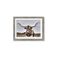 Picture of Longhorn Bull _GroupedProduct_Rectangle_Landscape_Photography _GroupedProduct_Rectangle_Landscape_Framed_Matted_