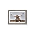 Picture of Longhorn Bull _GroupedProduct_Rectangle_Landscape_Photography _GroupedProduct_Rectangle_Landscape_Framed_Matted_