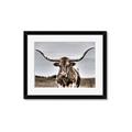 Picture of Longhorn Bull _GroupedProduct_Rectangle_Landscape_Photography _GroupedProduct_Rectangle_Landscape_Framed_Matted_