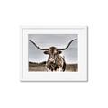 Picture of Longhorn Bull _GroupedProduct_Rectangle_Landscape_Photography _GroupedProduct_Rectangle_Landscape_Framed_Matted_