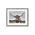 Picture of Longhorn Bull _GroupedProduct_Rectangle_Landscape_Photography _GroupedProduct_Rectangle_Landscape_Framed_Matted_
