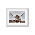 Picture of Longhorn Bull _GroupedProduct_Rectangle_Landscape_Photography _GroupedProduct_Rectangle_Landscape_Framed_Matted_