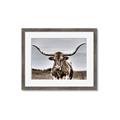 Picture of Longhorn Bull _GroupedProduct_Rectangle_Landscape_Photography _GroupedProduct_Rectangle_Landscape_Framed_Matted_