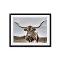 Picture of Longhorn Bull _GroupedProduct_Rectangle_Landscape_Photography _GroupedProduct_Rectangle_Landscape_Framed_Matted_