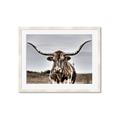 Picture of Longhorn Bull _GroupedProduct_Rectangle_Landscape_Photography _GroupedProduct_Rectangle_Landscape_Framed_Matted_