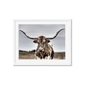 Picture of Longhorn Bull _GroupedProduct_Rectangle_Landscape_Photography _GroupedProduct_Rectangle_Landscape_Framed_Matted_