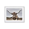 Picture of Longhorn Bull _GroupedProduct_Rectangle_Landscape_Photography _GroupedProduct_Rectangle_Landscape_Framed_Matted_