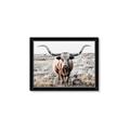 Picture of Longhorn Bull II _GroupedProduct_Rectangle_Landscape_Photography _GroupedProduct_Rectangle_Landscape_Framed_Matted_
