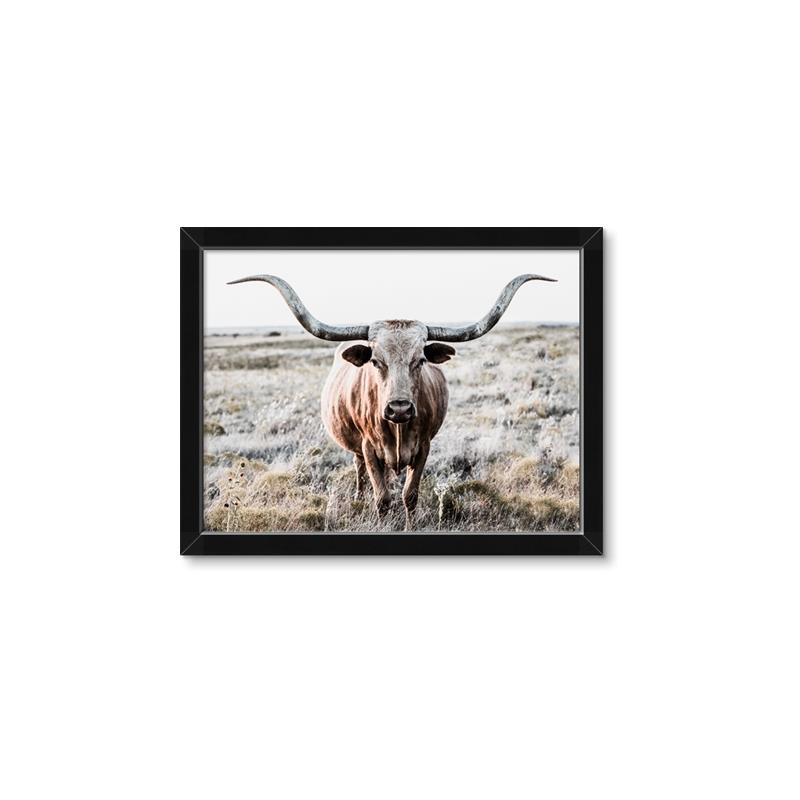 Picture of Longhorn Bull II _GroupedProduct_Rectangle_Landscape_Photography _GroupedProduct_Rectangle_Landscape_Framed_Matted_
