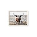 Picture of Longhorn Bull II _GroupedProduct_Rectangle_Landscape_Photography _GroupedProduct_Rectangle_Landscape_Framed_Matted_
