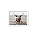 Picture of Longhorn Bull II _GroupedProduct_Rectangle_Landscape_Photography _GroupedProduct_Rectangle_Landscape_Framed_Matted_