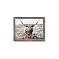 Picture of Longhorn Bull II _GroupedProduct_Rectangle_Landscape_Photography _GroupedProduct_Rectangle_Landscape_Framed_Matted_