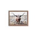 Picture of Longhorn Bull II _GroupedProduct_Rectangle_Landscape_Photography _GroupedProduct_Rectangle_Landscape_Framed_Matted_