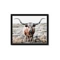 Picture of Longhorn Bull II _GroupedProduct_Rectangle_Landscape_Photography _GroupedProduct_Rectangle_Landscape_Framed_Matted_