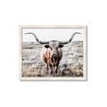 Picture of Longhorn Bull II _GroupedProduct_Rectangle_Landscape_Photography _GroupedProduct_Rectangle_Landscape_Framed_Matted_
