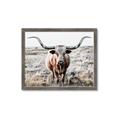 Picture of Longhorn Bull II _GroupedProduct_Rectangle_Landscape_Photography _GroupedProduct_Rectangle_Landscape_Framed_Matted_