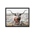 Picture of Longhorn Bull II _GroupedProduct_Rectangle_Landscape_Photography _GroupedProduct_Rectangle_Landscape_Framed_Matted_
