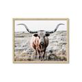 Picture of Longhorn Bull II _GroupedProduct_Rectangle_Landscape_Photography _GroupedProduct_Rectangle_Landscape_Framed_Matted_