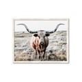 Picture of Longhorn Bull II _GroupedProduct_Rectangle_Landscape_Photography _GroupedProduct_Rectangle_Landscape_Framed_Matted_