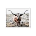 Picture of Longhorn Bull II _GroupedProduct_Rectangle_Landscape_Photography _GroupedProduct_Rectangle_Landscape_Framed_Matted_
