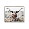 Picture of Longhorn Bull II _GroupedProduct_Rectangle_Landscape_Photography _GroupedProduct_Rectangle_Landscape_Framed_Matted_