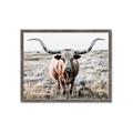 Picture of Longhorn Bull II _GroupedProduct_Rectangle_Landscape_Photography _GroupedProduct_Rectangle_Landscape_Framed_Matted_