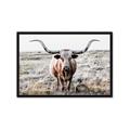 Picture of Longhorn Bull II _GroupedProduct_Rectangle_Landscape_Photography _GroupedProduct_Rectangle_Landscape_Framed_Matted_