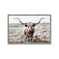 Picture of Longhorn Bull II _GroupedProduct_Rectangle_Landscape_Photography _GroupedProduct_Rectangle_Landscape_Framed_Matted_