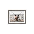Picture of Longhorn Bull II _GroupedProduct_Rectangle_Landscape_Photography _GroupedProduct_Rectangle_Landscape_Framed_Matted_