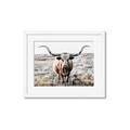 Picture of Longhorn Bull II _GroupedProduct_Rectangle_Landscape_Photography _GroupedProduct_Rectangle_Landscape_Framed_Matted_