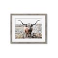 Picture of Longhorn Bull II _GroupedProduct_Rectangle_Landscape_Photography _GroupedProduct_Rectangle_Landscape_Framed_Matted_
