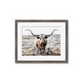 Picture of Longhorn Bull II _GroupedProduct_Rectangle_Landscape_Photography _GroupedProduct_Rectangle_Landscape_Framed_Matted_