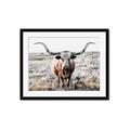 Picture of Longhorn Bull II _GroupedProduct_Rectangle_Landscape_Photography _GroupedProduct_Rectangle_Landscape_Framed_Matted_