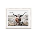 Picture of Longhorn Bull II _GroupedProduct_Rectangle_Landscape_Photography _GroupedProduct_Rectangle_Landscape_Framed_Matted_